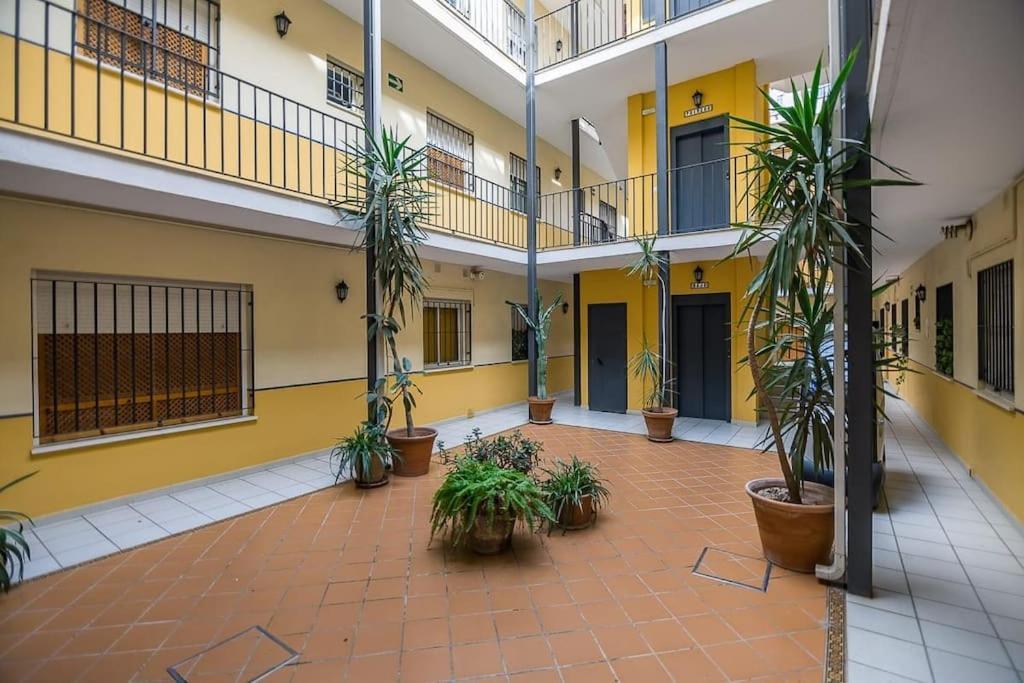 Apartamento Divina Pastora *